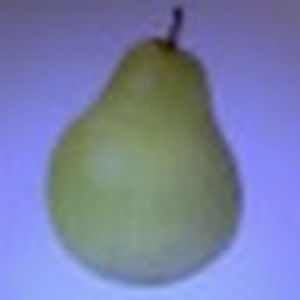 Meet your Posher, Pear